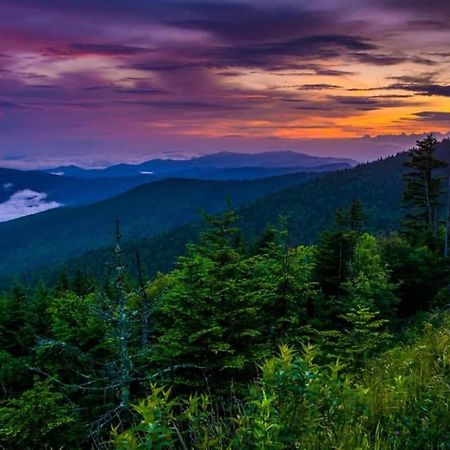 Вилла Modern Style, Arcade, Fire Pit, Pet Friendly Пиджен-Фордж Экстерьер фото